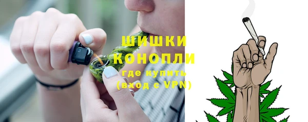 Альфа ПВП Фёдоровский