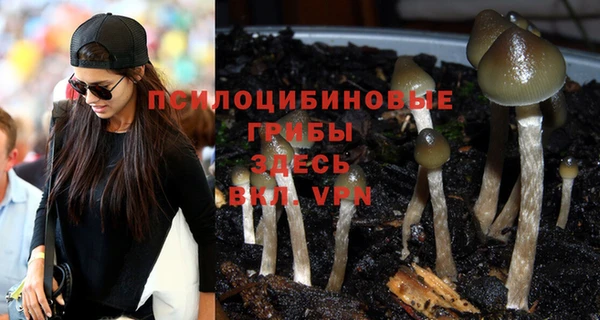 jwh Киреевск