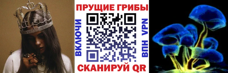 Купить закладки  Луза  Галлюциногенные грибы Cubensis 