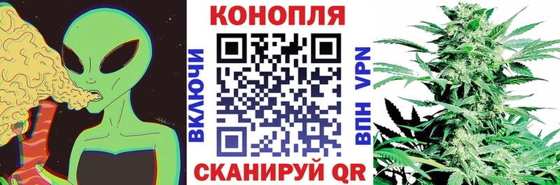 Марихуана SATIVA & INDICA  Купить где  Луза 